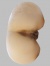 Xass 320 x 240 3